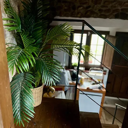 La Casita Del